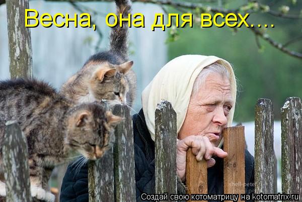 Весна, она для всех....... Котоматрица: Весна, она для всех....