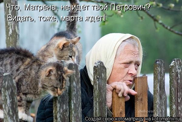 Что, Матрёна, не идёт твой Петрович? Видать, тоже, марта ждёт!... Котоматрица: Что, Матрёна, не идёт твой Петрович? Видать, тоже, марта ждёт!