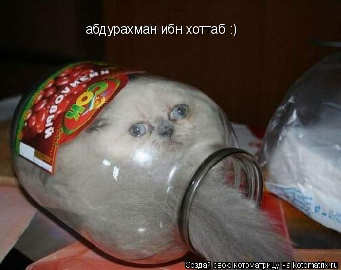 абдурахман ибн хоттаб :)... Котоматрица: абдурахман ибн хоттаб :)
