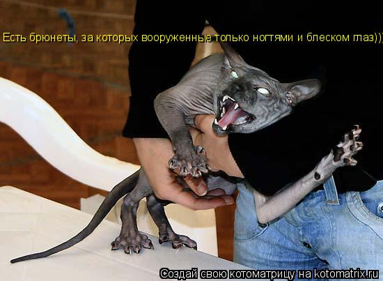 Есть брюнеты, за которых вооруженные только ногтями и блеском глаз)))... Котоматрица: Есть брюнеты, за которых вооруженные только ногтями и блеском глаз)))