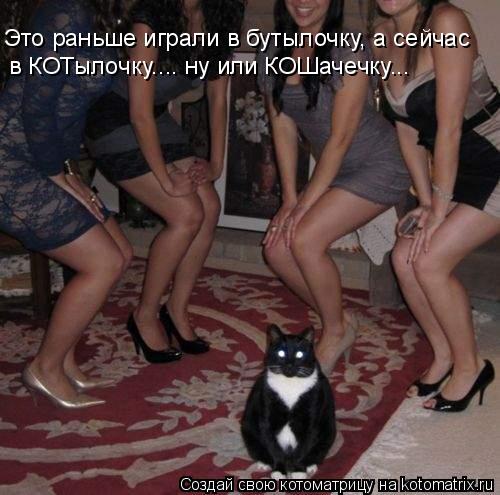 Это раньше играли в бутылочку, а сейчас в КОТылочку.... ну или КОШачечку...... Котоматрица: Это раньше играли в бутылочку, а сейчас в КОТылочку.... ну или КОШачечку...