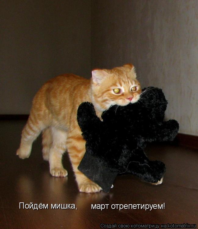 Пойдём мишка, Пойдём мишка, март отрепетируем!... Котоматрица: Пойдём мишка, Пойдём мишка, март отрепетируем!