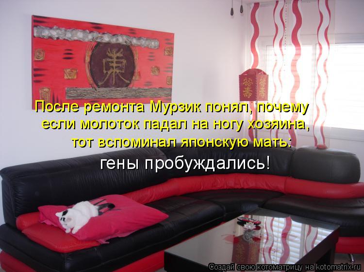 После ремонта Мурзик понял, почему если молоток падал на ногу хозяина, тот вспоминал японскую мать: г... Котоматрица: После ремонта Мурзик понял, почему если молоток падал на ногу хозяина, тот вспоминал японскую мать: гены пробуждались!