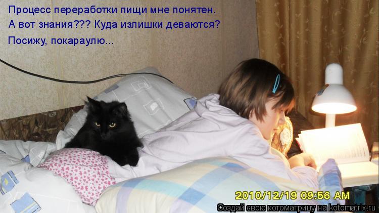 Процесс переработки пищи мне понятен. А вот знания??? Куда излишки деваются? Посижу, покараулю...... Котоматрица: Процесс переработки пищи мне понятен. А вот знания??? Куда излишки деваются? Посижу, покараулю...