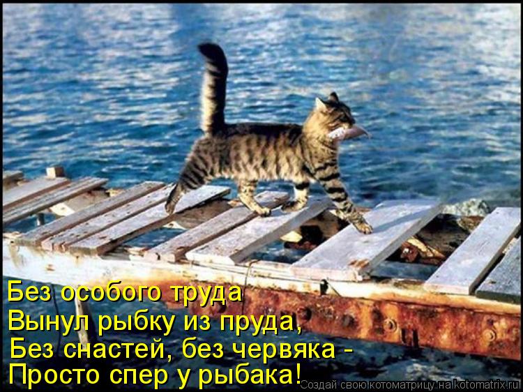 Котоматрица: Просто спер у рыбака! Без особого труда Вынул рыбку из пруда, Без снастей, без червяка -