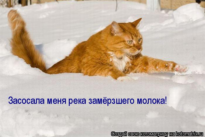 Засосала меня река замёрзшего молока!... Котоматрица: Засосала меня река замёрзшего молока!