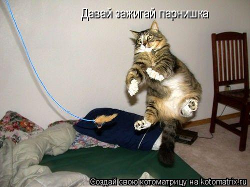 Давай зажигай парнишка... Котоматрица: Давай зажигай парнишка