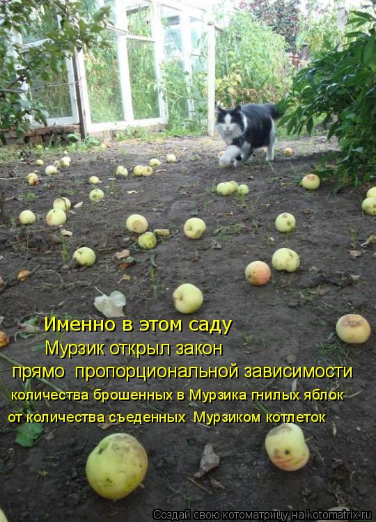 Котоматрица: Именно в этом саду  Мурзик открыл закон прямо  пропорциональной зависимости количества брошенных в Мурзика гнилых яблок от количества съе