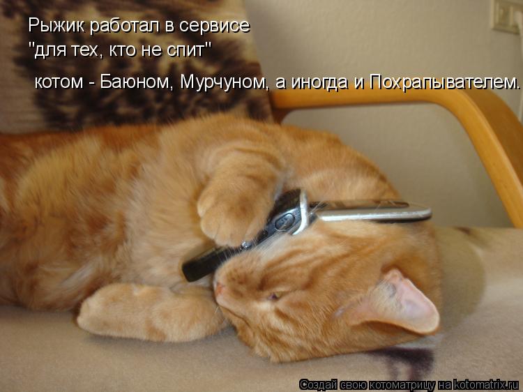 Рыжик работал в сервисе "для тех, кто не спит" котом - Баюном , Мурчуном, а иногда и Похрапывателем..... Котоматрица: Рыжик работал в сервисе "для тех, кто не спит" котом - Баюном , Мурчуном, а иногда и Похрапывателем...