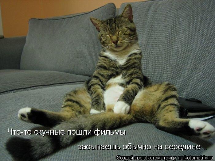 Что-то скучные пошли фильмы засыпаешь обычно на середине...... Котоматрица: Что-то скучные пошли фильмы засыпаешь обычно на середине...