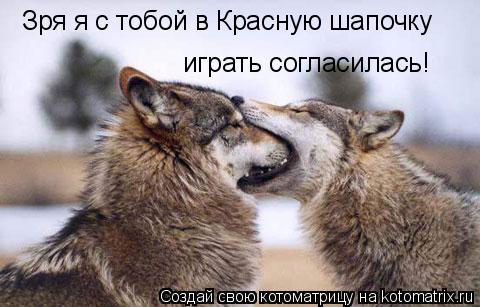 Зря я с тобой в Красную шапочку играть согласилась!... Котоматрица: Зря я с тобой в Красную шапочку играть согласилась!