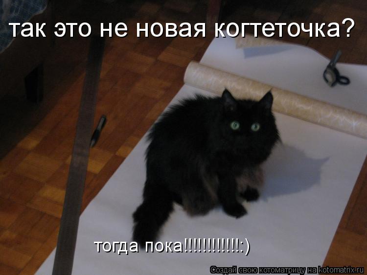 так это не новая когтеточка? тогда пока!!!!!!!!!!!!:)... Котоматрица: так это не новая когтеточка? тогда пока!!!!!!!!!!!!:)