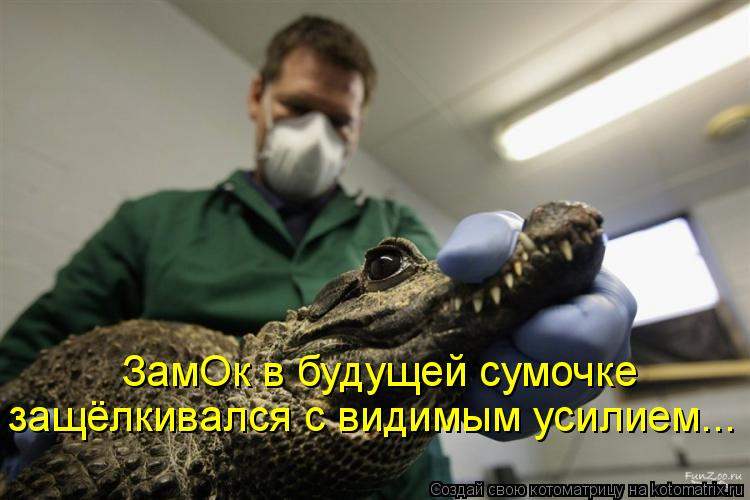 ЗамОк в будущей сумочке защёлкивался с видимым усилием...... Котоматрица: ЗамОк в будущей сумочке защёлкивался с видимым усилием...