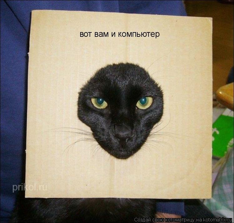вот вам и компьютер... Котоматрица: вот вам и компьютер
