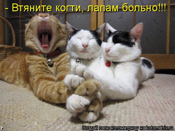 Котоматрица: - Втяните когти, лапам больно!!!