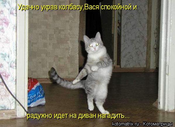 Котоматрица: Удачно украв колбасу,Вася спокойной и  радужно идет на диван нагадить...