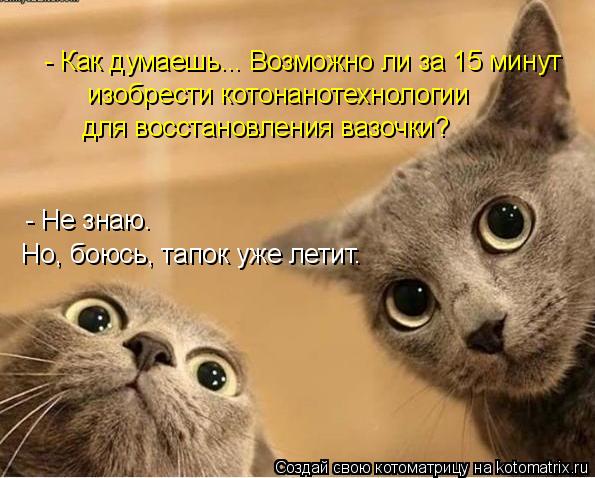 Котоматрица: изобрести котонанотехнологии  для восстановления вазочки?  - Не знаю.   - Как думаешь... Возможно ли за 15 минут  Но, боюсь, тапок уже летит.