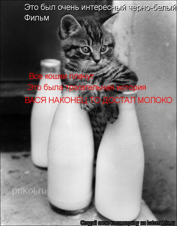 Котоматрица: Это был очень интересный черно-белый  Фильм Все кошки плачут Это была трогательная история ВАСЯ НАКОНЕЦ ТО ДОСТАЛ МОЛОКО