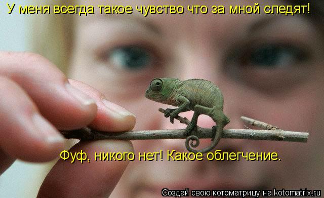 У меня всегда такое чувство что за мной следят! Фуф, никого нет! Какое облегчение.... Котоматрица: У меня всегда такое чувство что за мной следят! Фуф, никого нет! Какое облегчение.