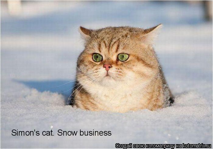 Котоматрица: Simon's cat. Snow business