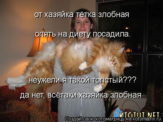Котоматрица: опять на диету посадила. неужели я такой толстый??? от хазяйка тётка злобная да нет, всётаки хазяйка злобная