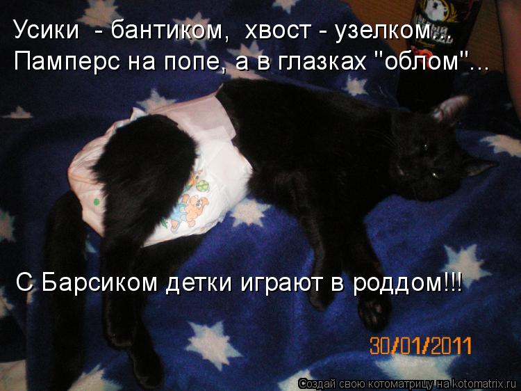 Усики - бантиком, хвост - узелком... Памперс на попе, а в глазках "облом"... С Барсиком детки играю... Котоматрица: Усики - бантиком, хвост - узелком... Памперс на попе, а в глазках "облом"... С Барсиком детки играют в роддом!!!