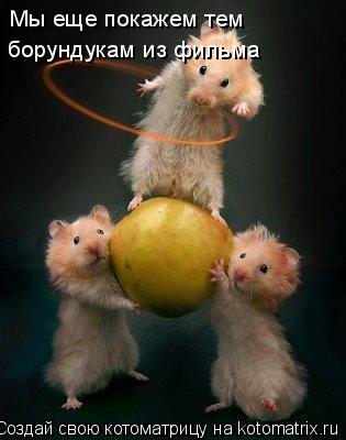 Мы еще покажем тем борундукам из фильма... Котоматрица: Мы еще покажем тем борундукам из фильма