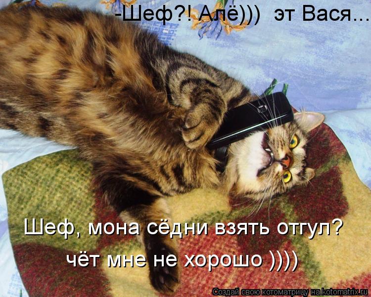 -Шеф?! Алё))) эт Вася.... Шеф, мона сёдни взять отгул? чёт мне не хорошо ))))... Котоматрица: -Шеф?! Алё))) эт Вася.... Шеф, мона сёдни взять отгул? чёт мне не хорошо ))))