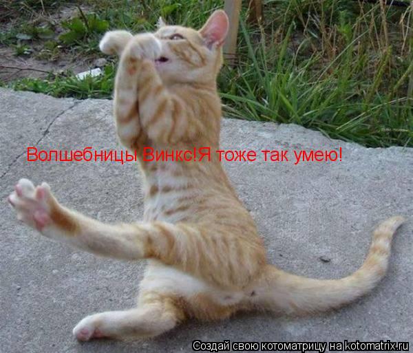 Волшебницы Винкс!Я тоже так умею!... Котоматрица: Волшебницы Винкс!Я тоже так умею!