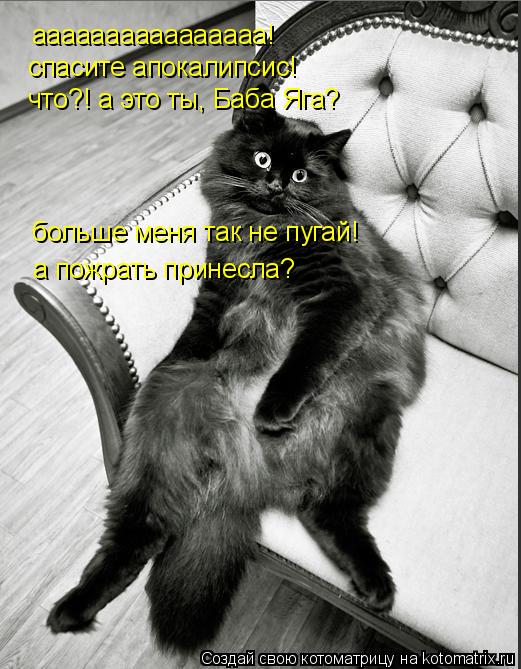аааааааааааааааа! спасите апокалипсис! что?! а это ты, Баба Яга? больше меня так не пугай! а пожрат... Котоматрица: аааааааааааааааа! спасите апокалипсис! что?! а это ты, Баба Яга? больше меня так не пугай! а пожрать принесла?