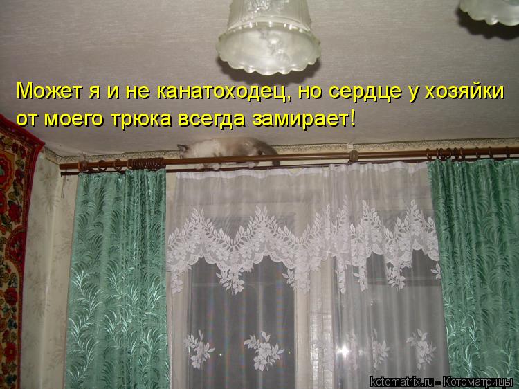 Может я и не канатоходец, но сердце у хозяйки от моего трюка всегда замирает!... Котоматрица: Может я и не канатоходец, но сердце у хозяйки от моего трюка всегда замирает!