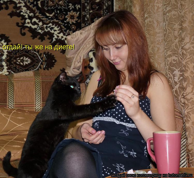 отдай! ты же на диете!... Котоматрица: отдай! ты же на диете!