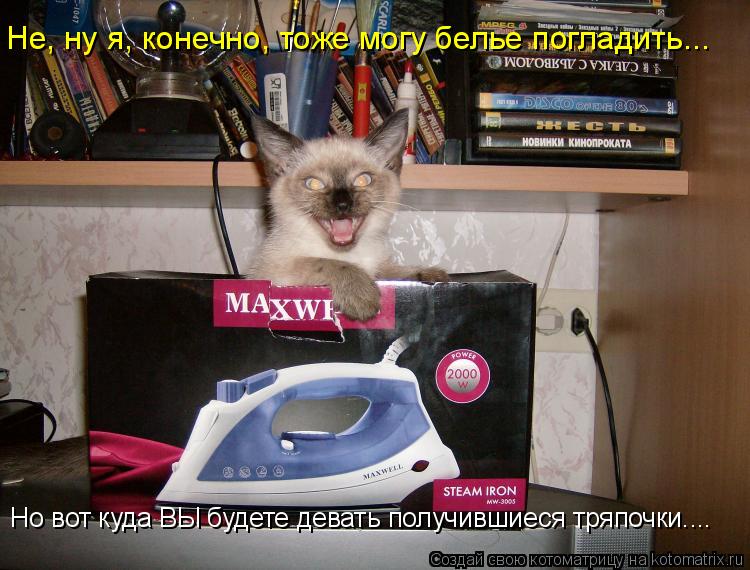 Не, ну я, конечно, тоже могу белье погладить... Но вот куда ВЫ будете девать получившиеся тряпочки...... Котоматрица: Не, ну я, конечно, тоже могу белье погладить... Но вот куда ВЫ будете девать получившиеся тряпочки....