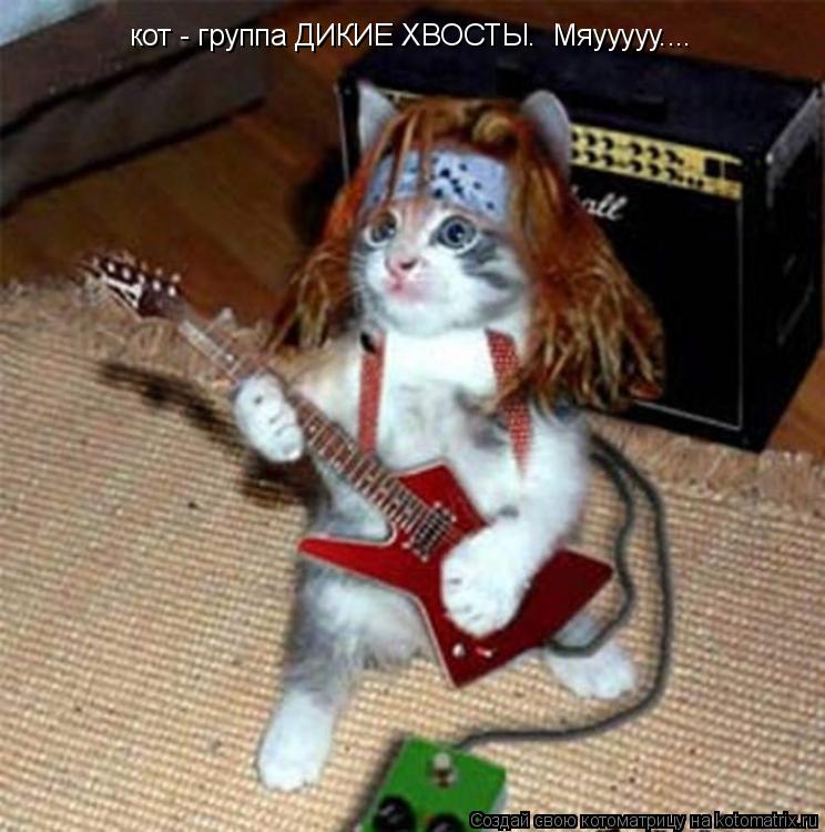 кот - группа ДИКИЕ ХВОСТЫ. Мяууууу....... Котоматрица: кот - группа ДИКИЕ ХВОСТЫ. Мяууууу....