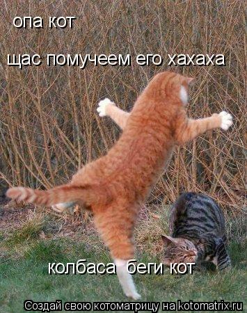 опа кот щас помучеем его хахаха колбаса беги кот... Котоматрица: опа кот щас помучеем его хахаха колбаса беги кот