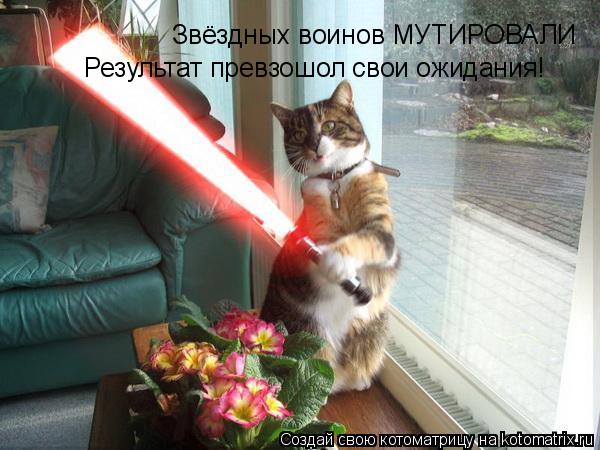 Звёздных воинов МУТИРОВАЛИ Результат превзошол свои ожидания!... Котоматрица: Звёздных воинов МУТИРОВАЛИ Результат превзошол свои ожидания!