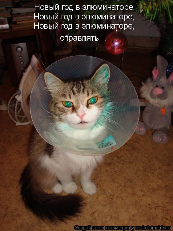 Новый год в элюминаторе, Новый год в элюминаторе, Новый год в элюминаторе, справлять... Котоматрица: Новый год в элюминаторе, Новый год в элюминаторе, Новый год в элюминаторе, справлять