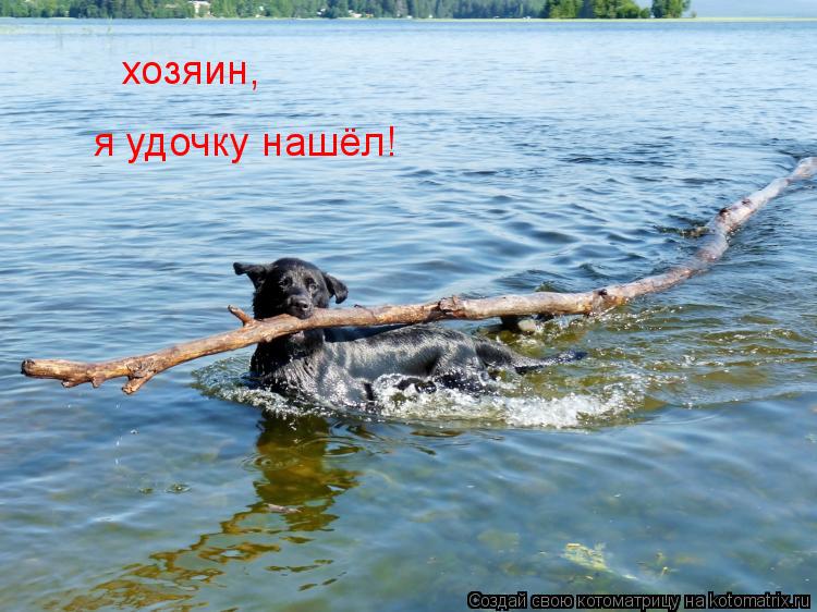 хозяин, я удочку нашёл!... Котоматрица: хозяин, я удочку нашёл!