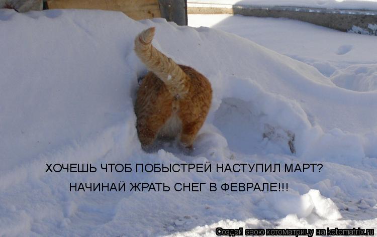 ХОЧЕШЬ ЧТОБ ПОБЫСТРЕЙ НАСТУПИЛ МАРТ? НАЧИНАЙ ЖРАТЬ СНЕГ В ФЕВРАЛЕ!!!... Котоматрица: ХОЧЕШЬ ЧТОБ ПОБЫСТРЕЙ НАСТУПИЛ МАРТ? НАЧИНАЙ ЖРАТЬ СНЕГ В ФЕВРАЛЕ!!!