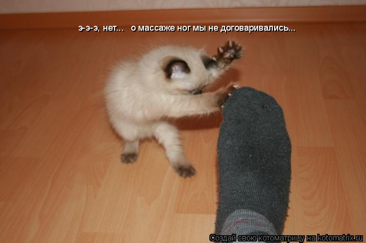 э-э-э, нет... о массаже ног мы не договаривались...... Котоматрица: э-э-э, нет... о массаже ног мы не договаривались...