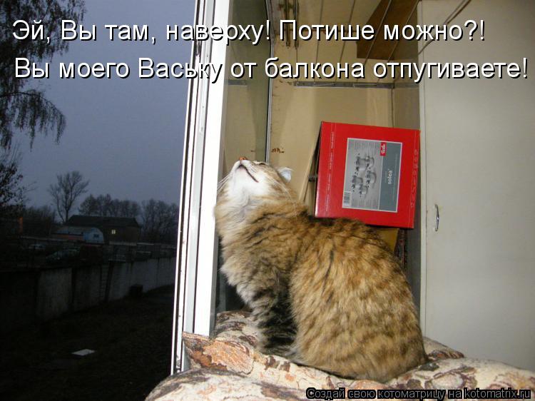 Эй, Вы там, наверху! Потише можно?! Вы моего Ваську от балкона отпугиваете!... Котоматрица: Эй, Вы там, наверху! Потише можно?! Вы моего Ваську от балкона отпугиваете!