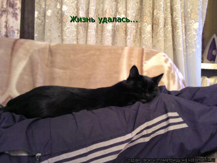 Жизнь удалась...... Котоматрица: Жизнь удалась...