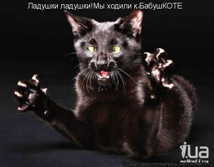 Ладушки ладушки!Мы ходили к БабушКОТЕ... Котоматрица: Ладушки ладушки!Мы ходили к БабушКОТЕ