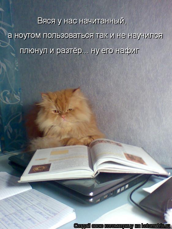 Вяся у нас начитанный, а ноутом пользоваться так и не научился плюнул и разтёр... ну его нафиг... Котоматрица: Вяся у нас начитанный, а ноутом пользоваться так и не научился плюнул и разтёр... ну его нафиг