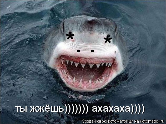 * * . . ты жжёшь))))))) ахахаха))))... Котоматрица: * * . . ты жжёшь))))))) ахахаха))))