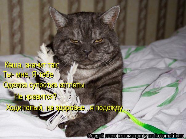 Кеша, значит так: Ты- мне, Я-тебе Одежка супротив котлеты Не нравится? Ходи голый, на здоровье...я по... Котоматрица: Кеша, значит так: Ты- мне, Я-тебе Одежка супротив котлеты Не нравится? Ходи голый, на здоровье...я подожду....