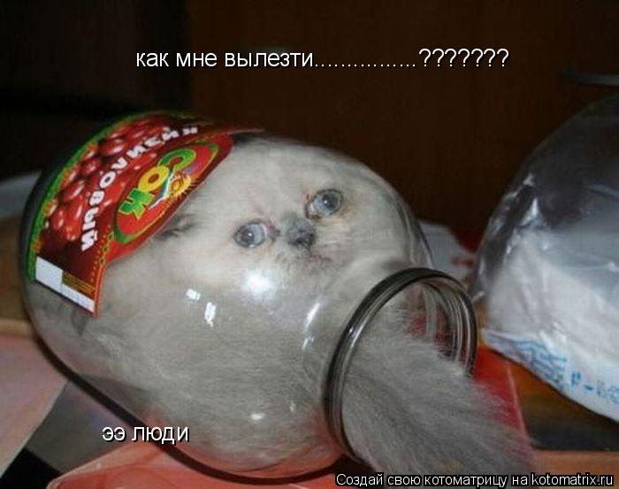 как мне вылезти................??????? ээ люди... Котоматрица: как мне вылезти................??????? ээ люди