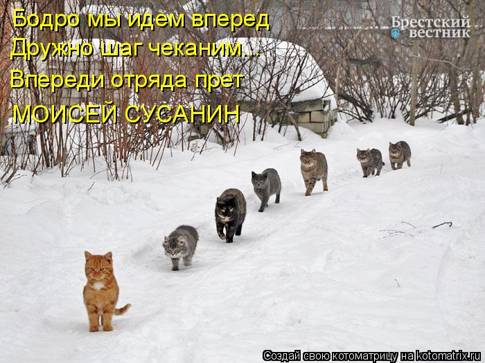 Бодро мы идем вперед Дружно шаг чеканим... Впереди отряда прет МОИСЕЙ СУСАНИН... Котоматрица: Бодро мы идем вперед Дружно шаг чеканим... Впереди отряда прет МОИСЕЙ СУСАНИН
