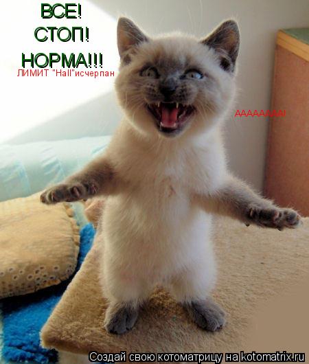 ВСЕ! СТОП! НОРМА!!! ЛИМИТ "Hall"исчерпан АААААААА!... Котоматрица: ВСЕ! СТОП! НОРМА!!! ЛИМИТ "Hall"исчерпан АААААААА!