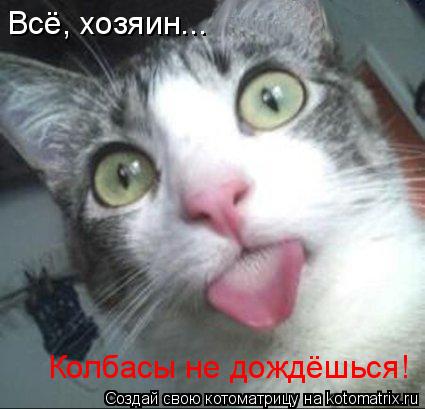 Всё, хозяин... Колбасы не дождёшься!... Котоматрица: Всё, хозяин... Колбасы не дождёшься!